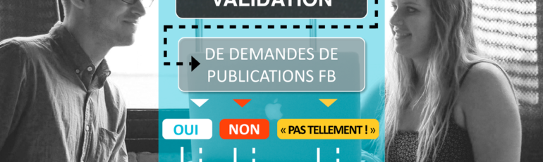 CADEAU ! FLOWCHART CHARTE DE VALIDATION de demandes de publications Facebook | Edith Jolicoeur, consultante branchée
